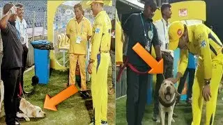 Ms Dhoni gets a Royal Salute from Dog & Security Man | Dhoni plays with dog | CSK vs SRH | IPL 2018