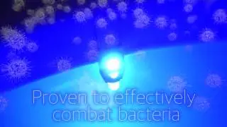 Anti Germ IllumiBowl Toilet Night Light (Germ Defense)