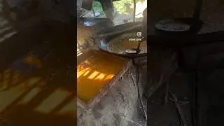 Jaggery Making/ Gur Making #gur #jaggery #sugarcane #sugarcanejuice