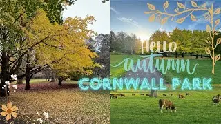 CORNWALL PARK I AUCKLAND NEW ZEALAND I AUTUMN WALK 4K HDR I PINOY OFW