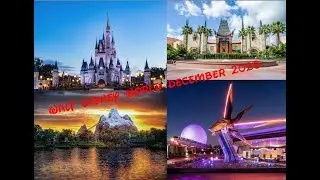 Walt Disney World Christmas 2023 Travel Day