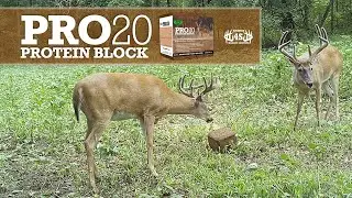 PRO20 Protein Feed Block