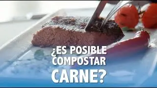 Como Compostar Carne - Visiones Sostenibles