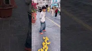 Duck Army Magic