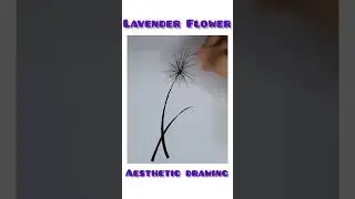 Lavender Flower Drawing | Aesthetic Drawing