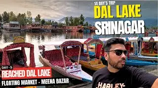 Exploring Dal Lake in Srinagar - Shikara Boat Ride - DELHI TO LEH LADAKH In Tata Safari 14 Days Trip