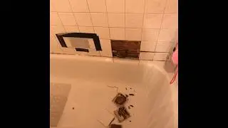 Shower,Tile Repair and Refinishing Dallas