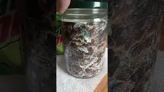 custom cannabis jar