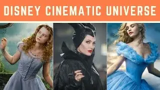 Disney Cinematic Universe Theory?