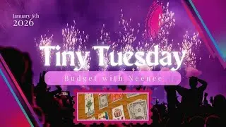 Tiny Tuesday || Cash Stuff $20 into medium priority sinking funds.