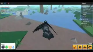 How-To Dive-Bomb/Glide-Sprint+3 Methods Of Hunting in Bird Simulator