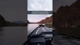 #Fishing #Bass #Speed #Racing #BassBoat #NitroBoats #Fish