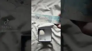 Cloud Dreamland Washi Haul ft. Notebook Therapy ☁