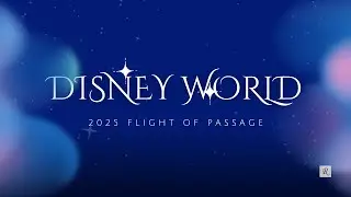 4K POV Avatar Flight of Passage   On Ride Walt Disney World Animal Kingdom