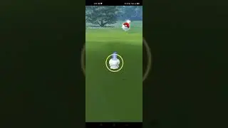 Catching litwick Pokemon#shorts#pokemon