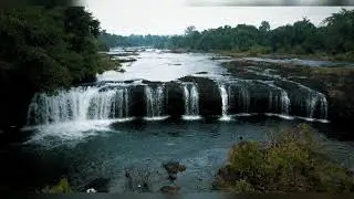 Welcome to Nature of Cambodia