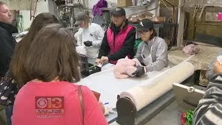 Picking Up Fresh Turkey From Maple Lawn Farms A Thanksgiving Tradition For Thousands
