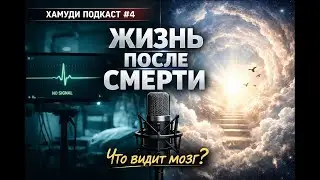 Жизнь после смерти: Рай или галлюцинация мозга? | Хамуди Подкаст #4