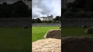 Gazing at Dunrobin Castle, Scotland, Rabbie's Tours from Daniela F. 🏴󠁧󠁢󠁳󠁣󠁴󠁿