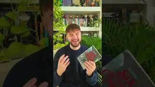 Is Six of Crows Worth Reading?