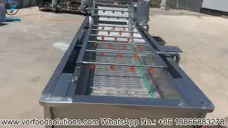 Air Bubble Water Spraying Fruit Vegetable Washing Machine (600mm 4m Model) | VERFOODSOLUTIONS
