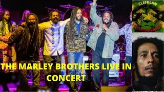 THE MARLEY BROTHERS LIVE IN CONCERT....Damian Marley, Julian Marley, Stephen Marley, Ky-Mani Marley