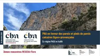 Conference : PNA en faveur des parois et pieds de parois calcaires liguro-provençales