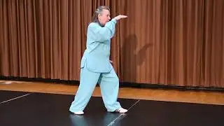 Tai Chi Yang Modified Practice, Brush Knee, Push and Strum the Lute