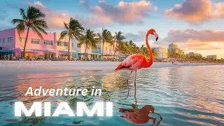 Top 5 Essential Places to Visit in MIAMI Every Tourist Needs - Travel Tips