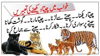 Khwab mein Cheetah Dekhne ki Tabeer | Tiger Dream Meanings in Urdu | خواب میں چیتا دیکھنے کی تعبیر