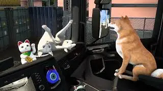 Euro Truck Simulator 2 Live Cabin Accessories