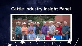 Cattle Industry Insights Panel