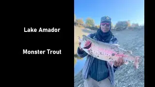 Lake Amador monster trout