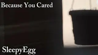 Because You Cared &bull; SleepyEgg