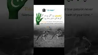 Pakistan Always zindabad #goldenquotes #indiapakistantensions #kashmirupdate #pakistanindia2025