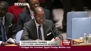 U.N Security Council lifts Cote D'ivoire Diamond Exports Ban