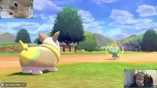 Yampers are adorable - Pokemon Ep3