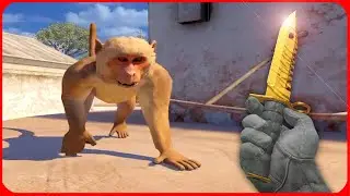 They added MONKEYS to CS2... (NEW ANUBIS UPDATE)