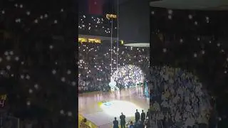 Fenerbah&ccedil;e Beko Maskotu 