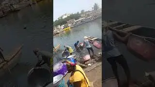 ELMINA FISH MARKET .