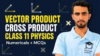 Vector Product (Cross Product) | Class 11 Physics | Vectors & Equilibrium | Numericals + MCQs