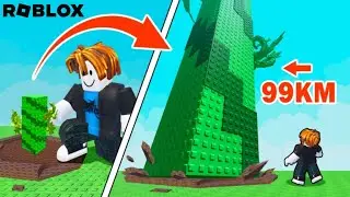 ROBLOX Build To Climb