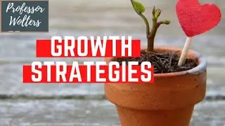 The Ansoff Growth Matrix - How to Develop New Business Opportunities