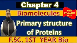 Class 11 Biology | Structural Levels of Proteins | Primary & Secondary Structure | New Syllabus 2025