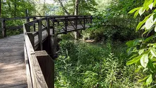Conkle's Hollow State Nature Preserve | Gorge Trail | Hocking Hills Ohio | Timelapse