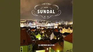 Eg K&oslash;yrer Ikkje Bil