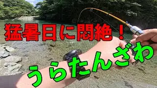【TK Moto VLog / Fishing Video】猛暑日にハンターカブ釣リング_うらたんざわで悶絶エリアトラウト_ CT-125 JA65　＃エリアトラウト　＃ハンターカブ　＃モトブログ