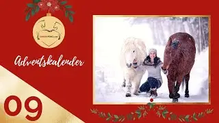 🐴 Webinar: Mit Pferden gesund durchs Jahr⭐😍