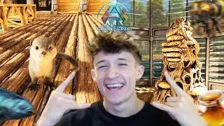 Tame de la Loutre et Abeille Géante🐝!!! Ark Survival Ascended [Ep18]