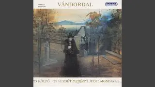 Kocsi&uacute;t az &eacute;jszak&aacute;ban